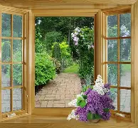 上海申花迎来致命坏消息 上海申花迎来致命坏消息